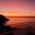 Moana *