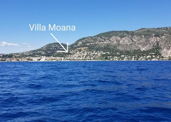 فيلة Moana